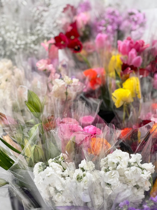 ロスフラワー(切花)