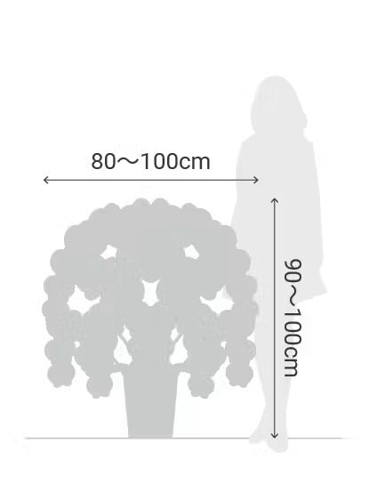 A.S様　胡蝶蘭　七万円　（七本立ち約70輪～・ピンク）