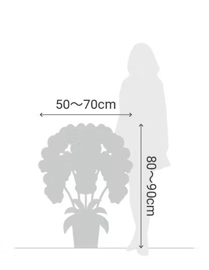 A.S様　胡蝶蘭　五万円　（五本立ち約55輪～赤リップ）